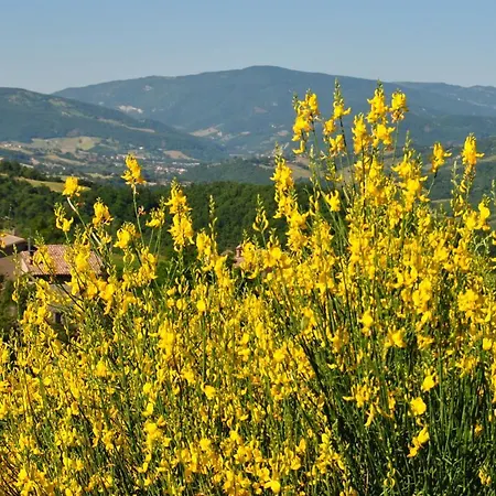 ホテル Il Borgo Casteldelci
