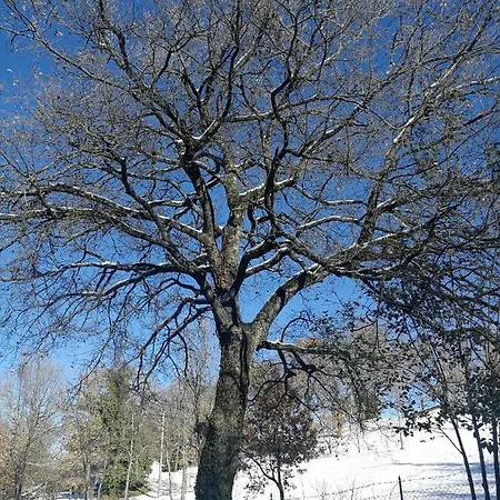 Il Borgo Casteldelci