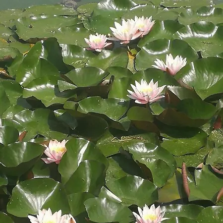 Il Borgo * Casteldelci