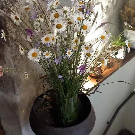 Hotel Il Borgo