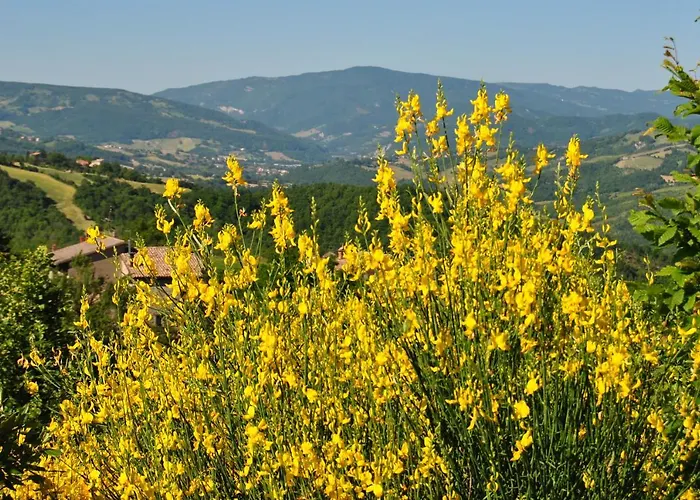 ホテル Il Borgo Casteldelci