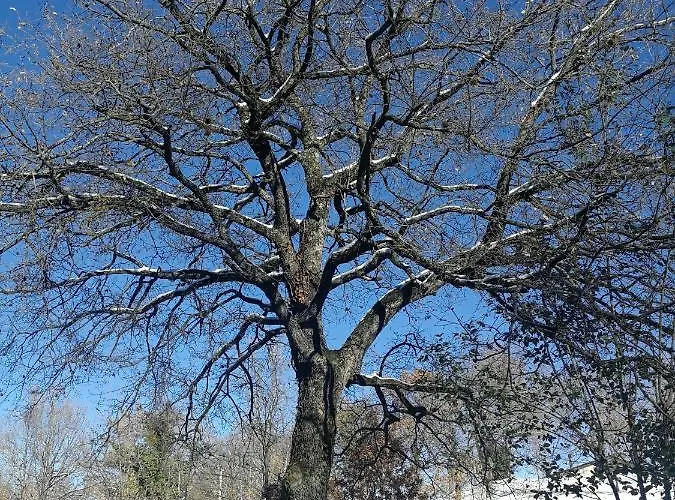 Il Borgo Casteldelci