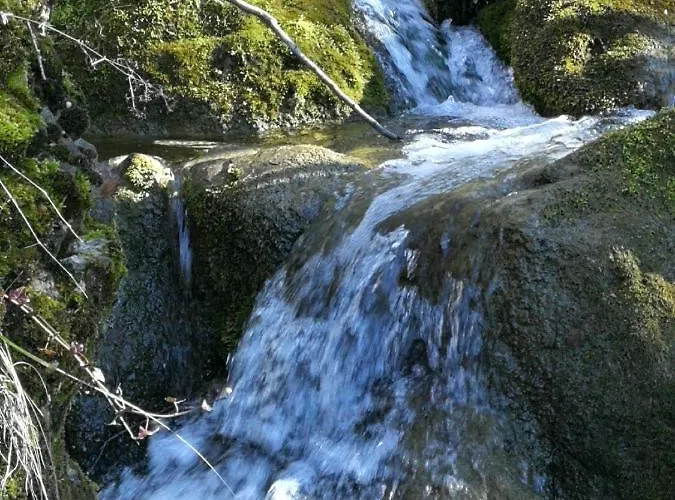 Il Borgo ホテル *