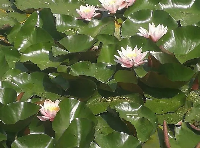 Il Borgo * Casteldelci